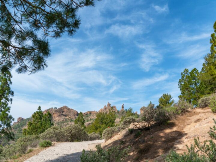 Parc Crocodile Gran Canaria